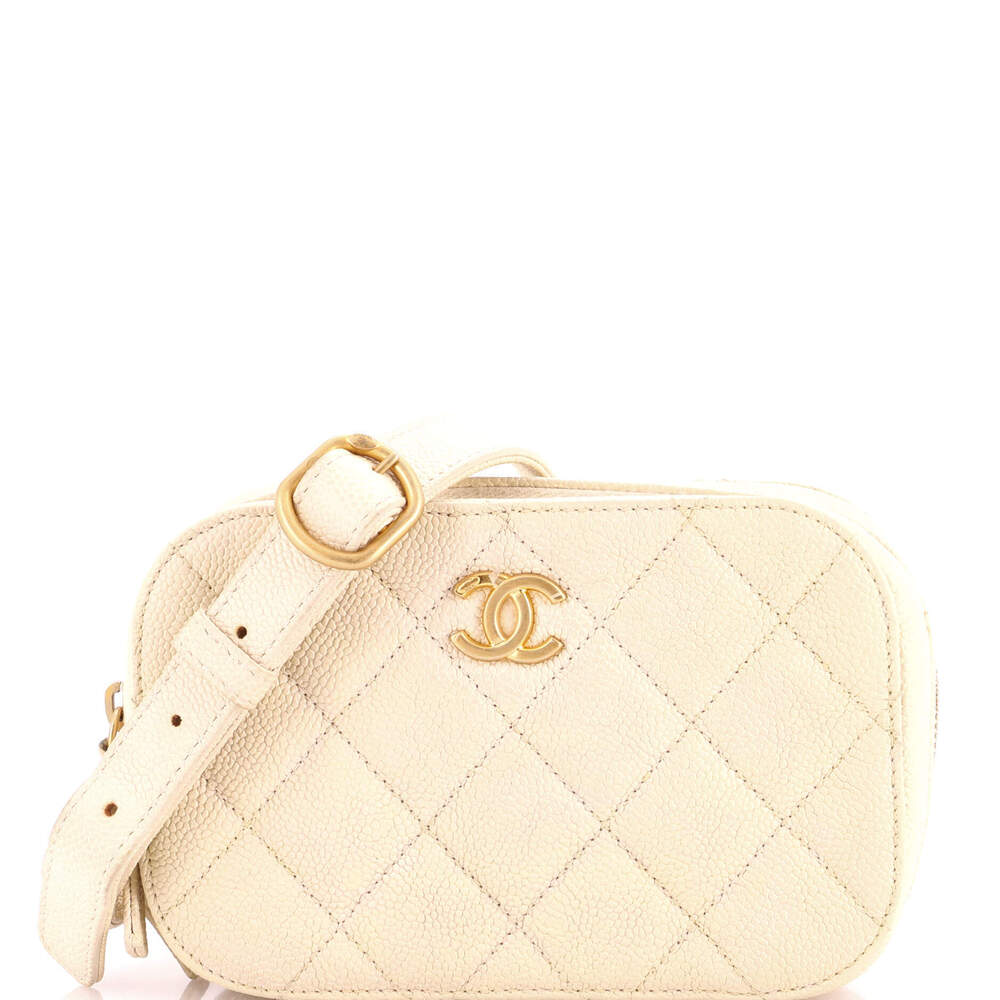 Chanel Zip Around Belt Bag